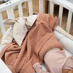 Gnijezdo_za_bebe_barsun